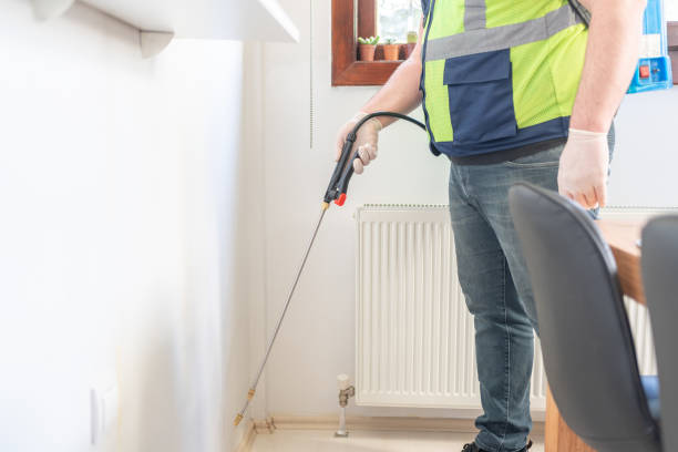 Best Cockroach Control Services  in Porter Heights, TX