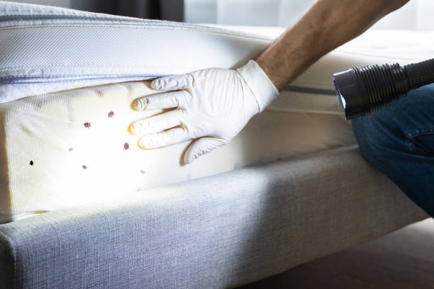 Best Pest Control Near Me  in Porter Heights, TX