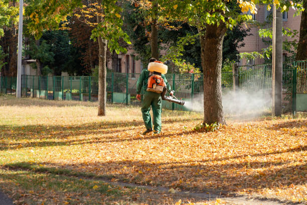 Best Pest Prevention Services  in Porter Heights, TX