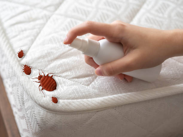 Best Commercial Pest Control Services  in Porter Heights, TX