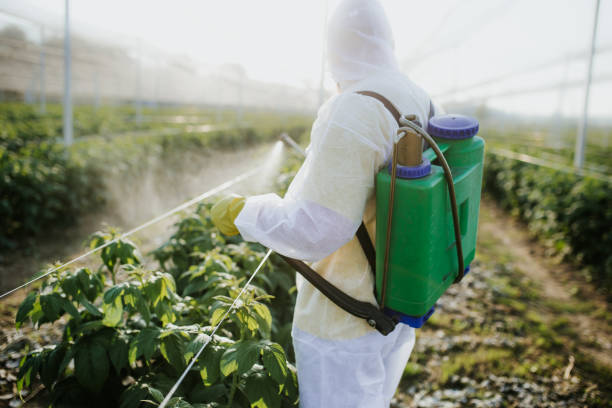 Porter Heights, TX Pest Control Company